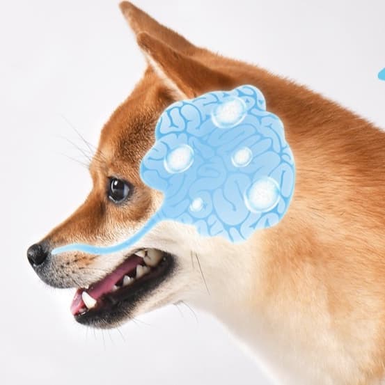 犬 おもちゃ 知育 | 室内で楽しむ犬用嗅覚トレーニングマット