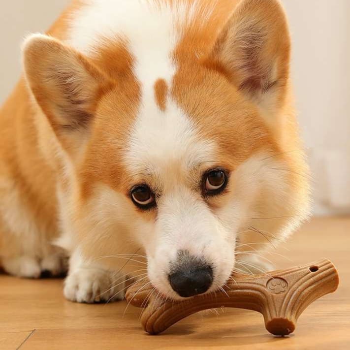 犬 おもちゃ 骨 | 天然木製 噛み心地抜群のワンちゃん用おもちゃ