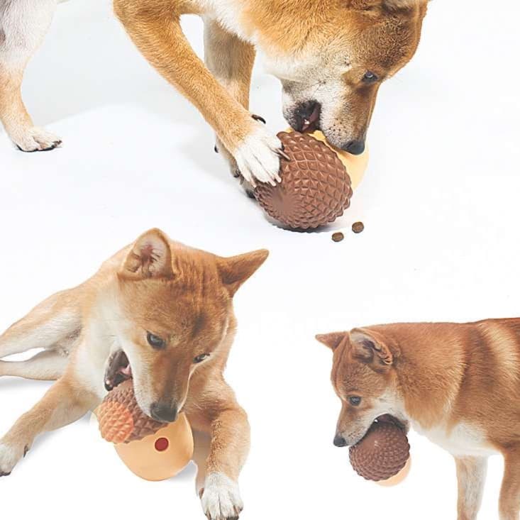 犬 おもちゃ 歯磨き | どんぐりデンタルトイ