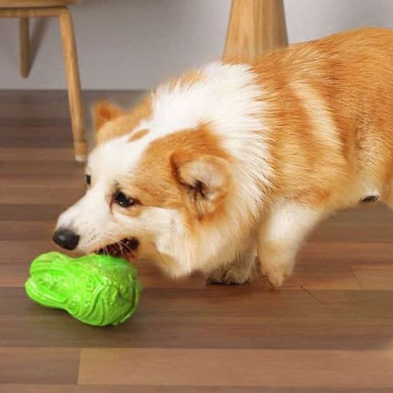 犬 おもちゃ 歯磨き | モンスターボール型噛むおもちゃ