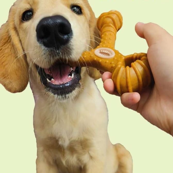 犬 おもちゃ 骨 | 噛みごたえ抜群!三叉の丈夫な犬用おもちゃ