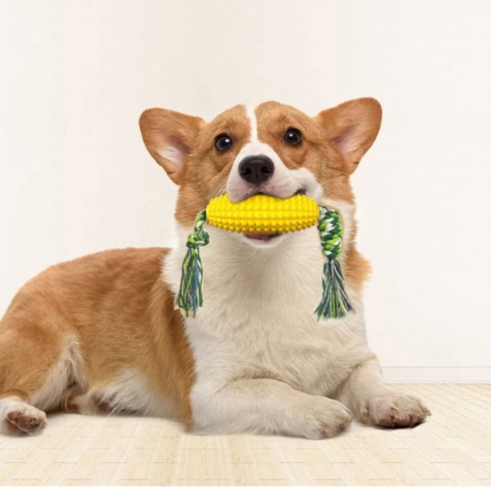 犬 おもちゃ 歯磨き | わんちゃんの歯磨きコーンおもちゃ