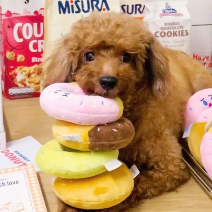 犬のおもちゃ ほっこりドーナツタワー