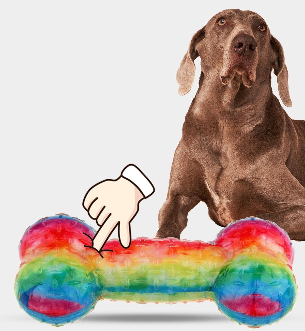 犬のおもちゃ 虹色ハッピー骨おもちゃ