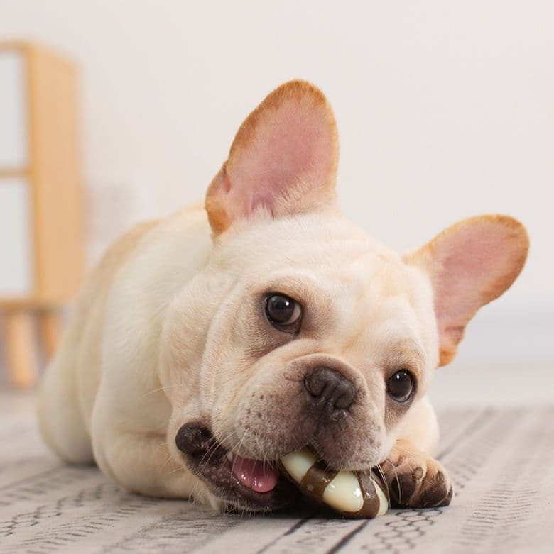 犬のおもちゃ わんちゃん大喜び 耐噛み骨