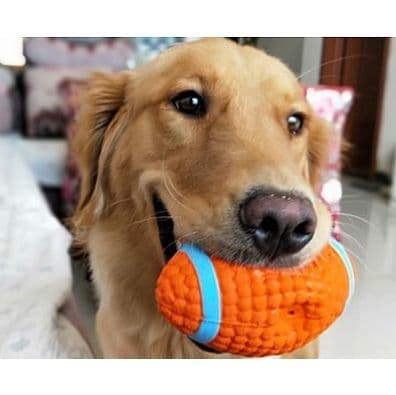 犬のおもちゃ スポーツモチーフ鳴き笛ボール