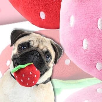 犬のおもちゃ もぎたていちごのふわふわくん