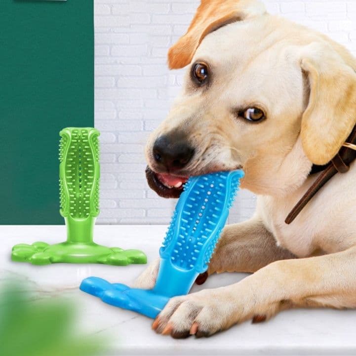 犬のおもちゃ わんこの歯磨き棒 デンタルケア