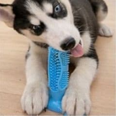犬のおもちゃ わんこの歯磨き棒 デンタルケア