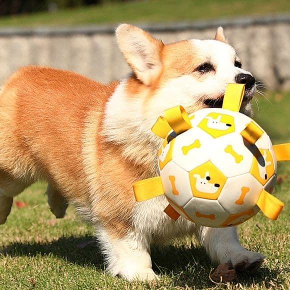 犬のおもちゃ 愛犬用サッカー型知育玩具ボール