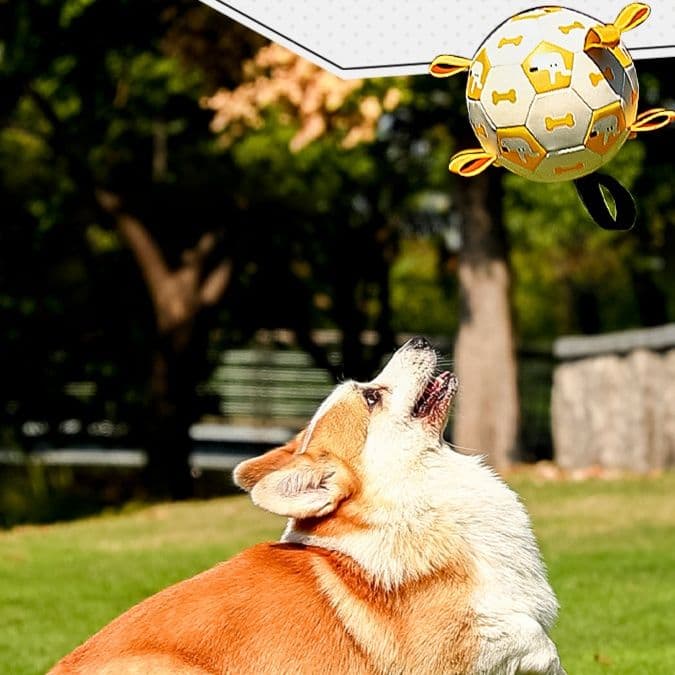 犬のおもちゃ 愛犬用サッカー型知育玩具ボール