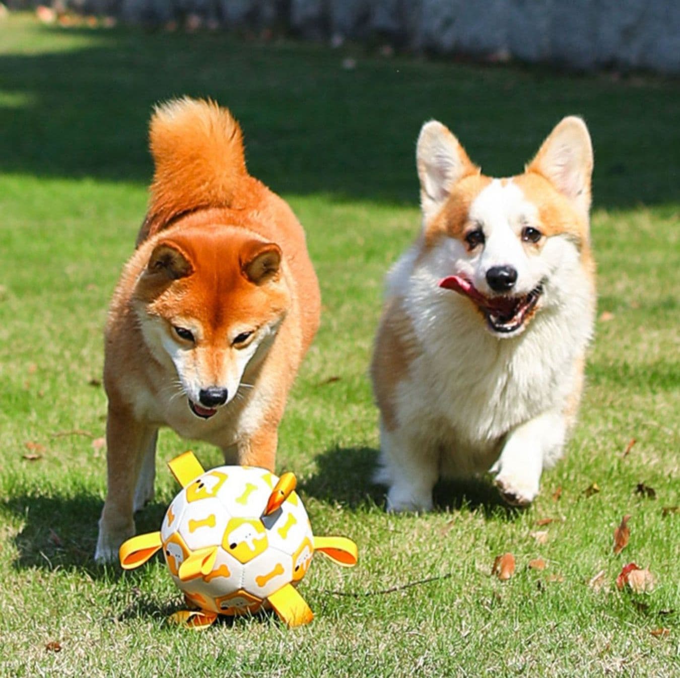 犬のおもちゃ 愛犬用サッカー型知育玩具ボール