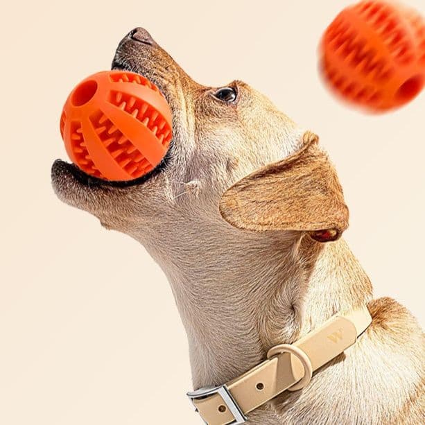 犬のおもちゃ 歯磨き効果抜群デンタルケア専用ボール