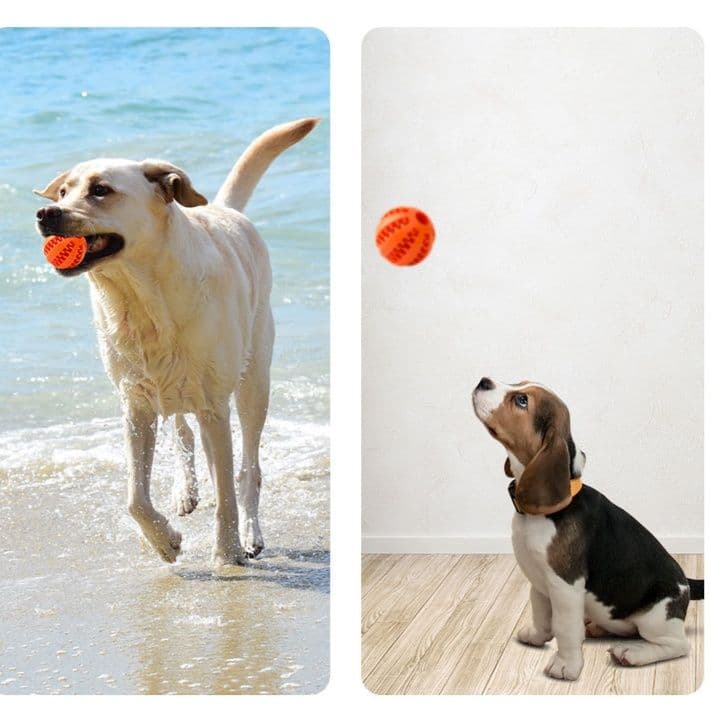 犬のおもちゃ 歯磨き効果抜群デンタルケア専用ボール