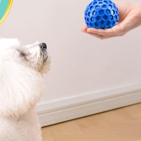 犬のおもちゃ 六角形穴あき軟質ゴム製愛犬遊戯球