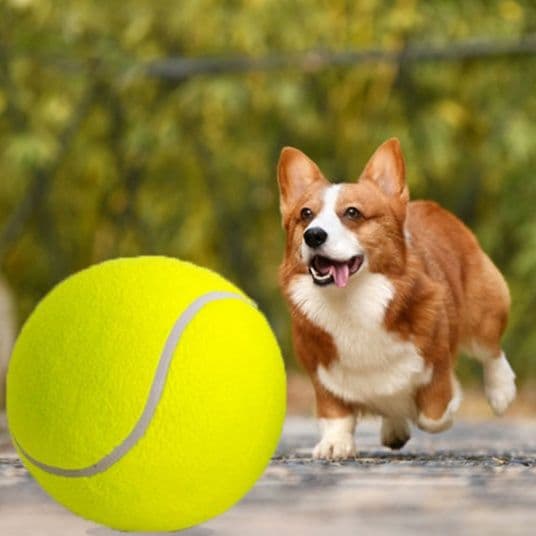 犬のおもちゃ 愛犬専用巨大テニス型遊びボール