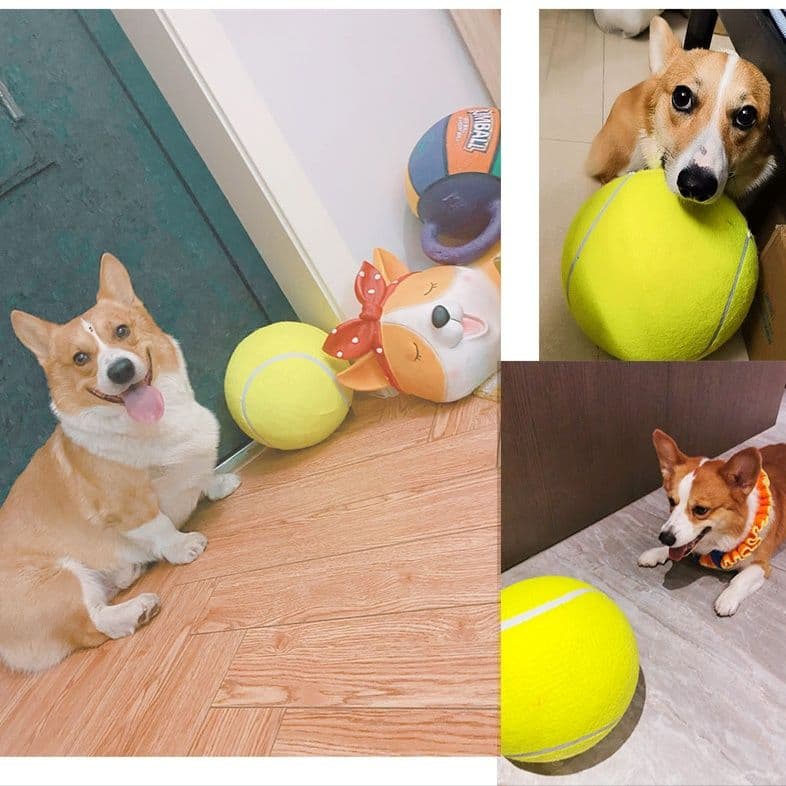 犬のおもちゃ 愛犬専用巨大テニス型遊びボール
