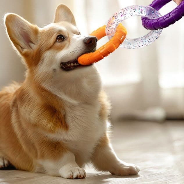 犬のおもちゃ 連結リング型歯磨き噛みごたえ玩具