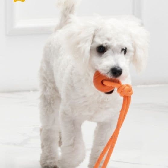 犬のおもちゃ 弾力ボール型ロープ付き噛み応え玩具