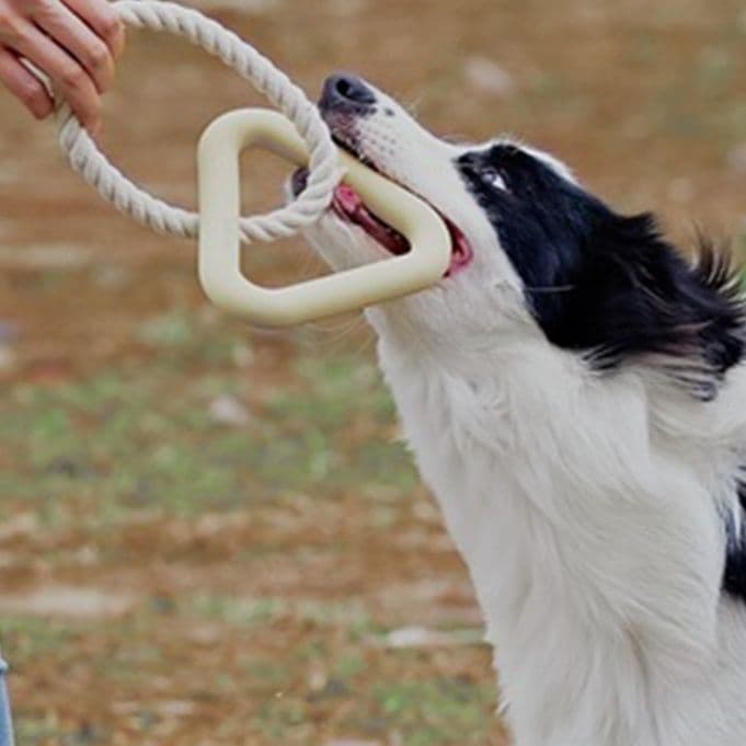 犬のおもちゃ 天然ゴム歯磨き効果付き綿ロープ玩具