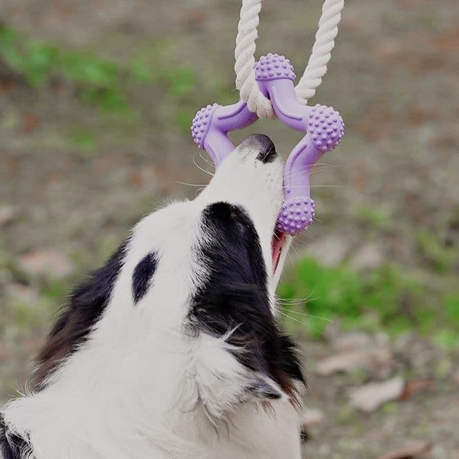 犬のおもちゃ 天然ゴム歯磨き効果付き綿ロープ玩具