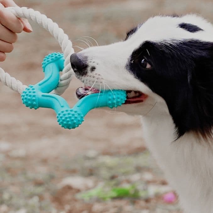 犬のおもちゃ 天然ゴム歯磨き効果付き綿ロープ玩具