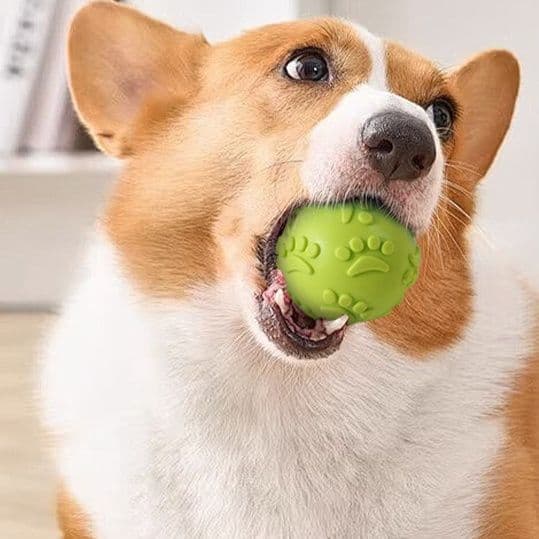 犬のおもちゃ 肉球模様噛み噛み音鳴りボール
