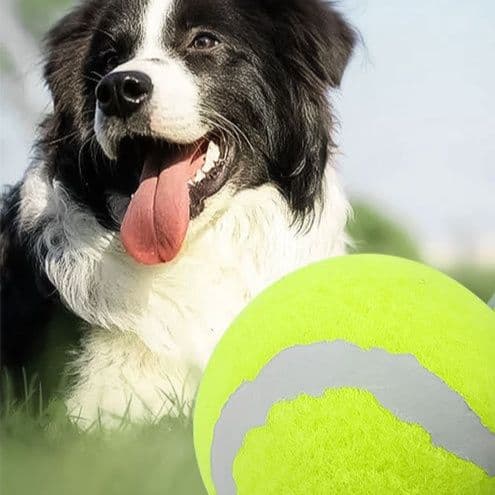 犬のおもちゃ 大臼歯清潔多機能追跡ゲームボール