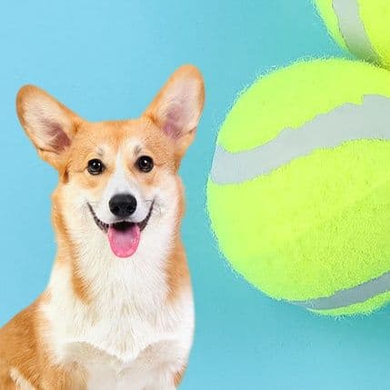 犬のおもちゃ 大臼歯清潔多機能追跡ゲームボール