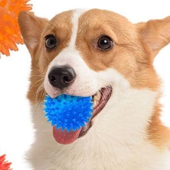 犬のおもちゃ とげとげ刺激感覚ボール