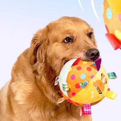犬のおもちゃ 音が鳴るリボン付き知育ボール