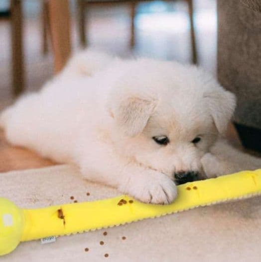 犬 おもちゃ ぬいぐるみ | わんちゃんの長〜いおもちゃ