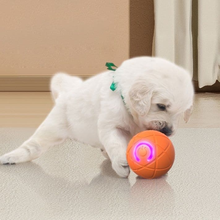 犬のおもちゃ 動く回転光る電動ボール型犬用玩具
