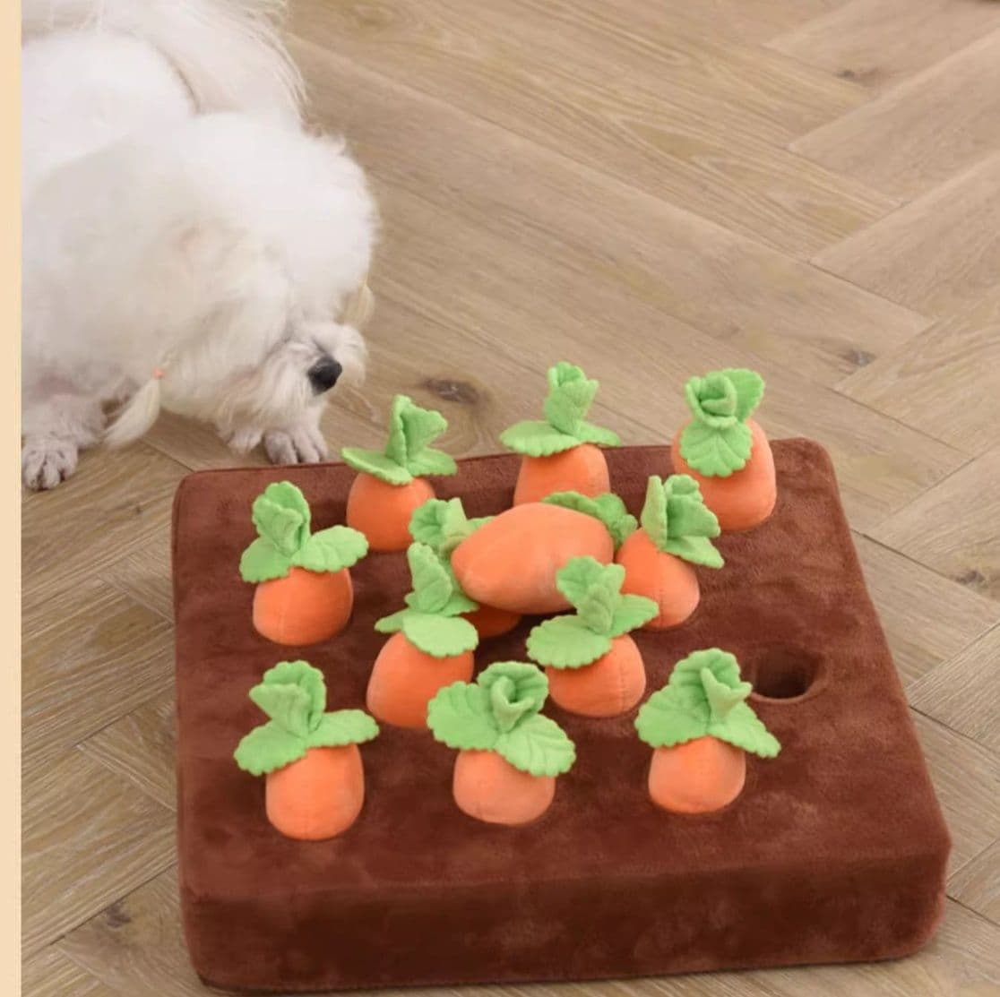 犬のおもちゃ にんじん収穫遊び知育マット