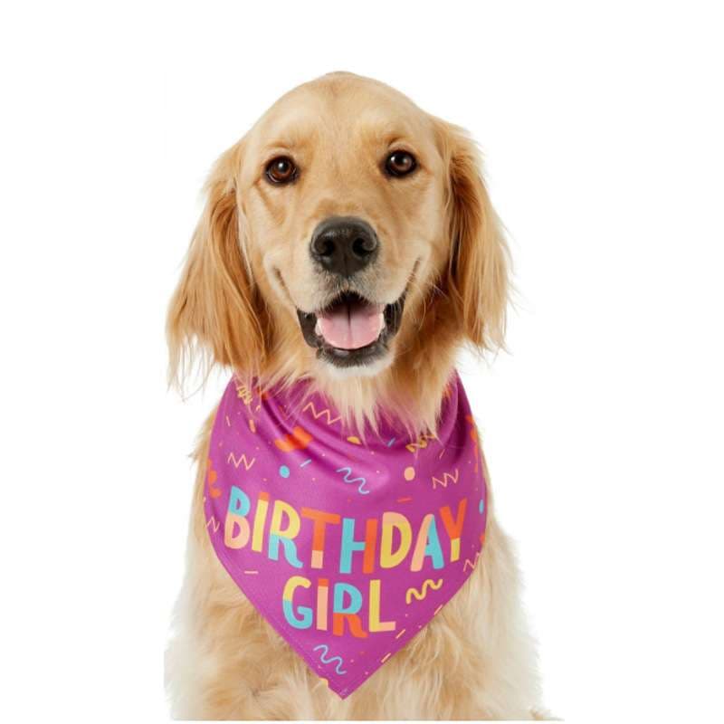 犬 おもちゃ 骨 | お誕生日わんちゃん用おもちゃの骨