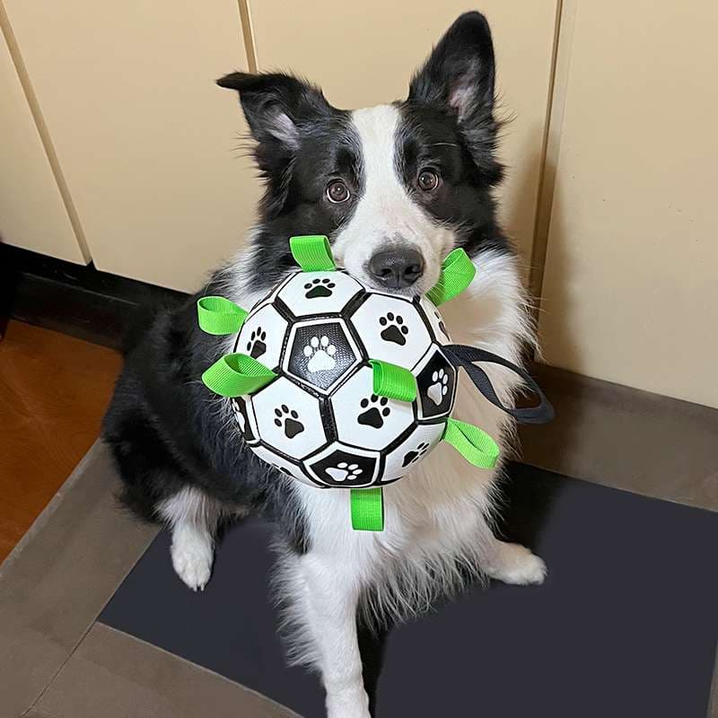 犬 おもちゃ 骨 | わんちゃんの歯磨きガム骨