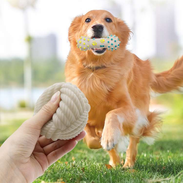 犬 おもちゃ | わんちゃん大喜び!噛み心地抜群の結び目ボール