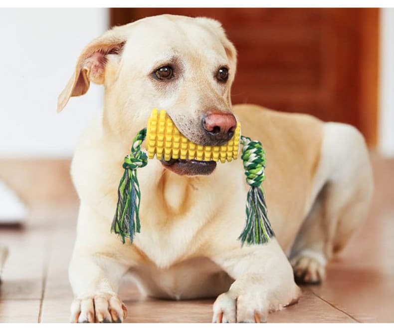犬のおもちゃ とうもろこし型デンタルロープおもちゃ