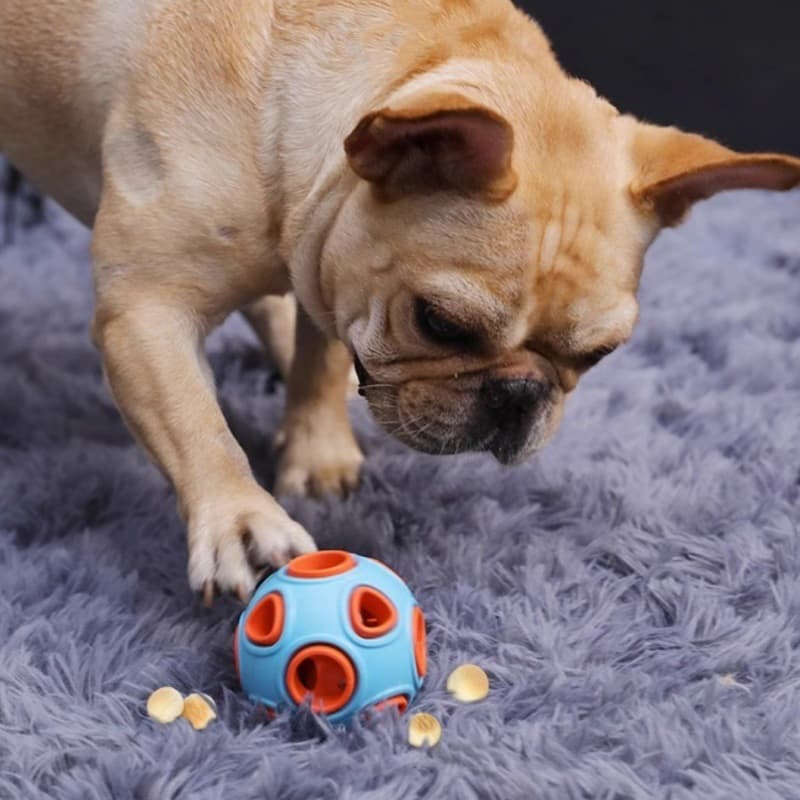 犬のおもちゃ 知育パズルボール