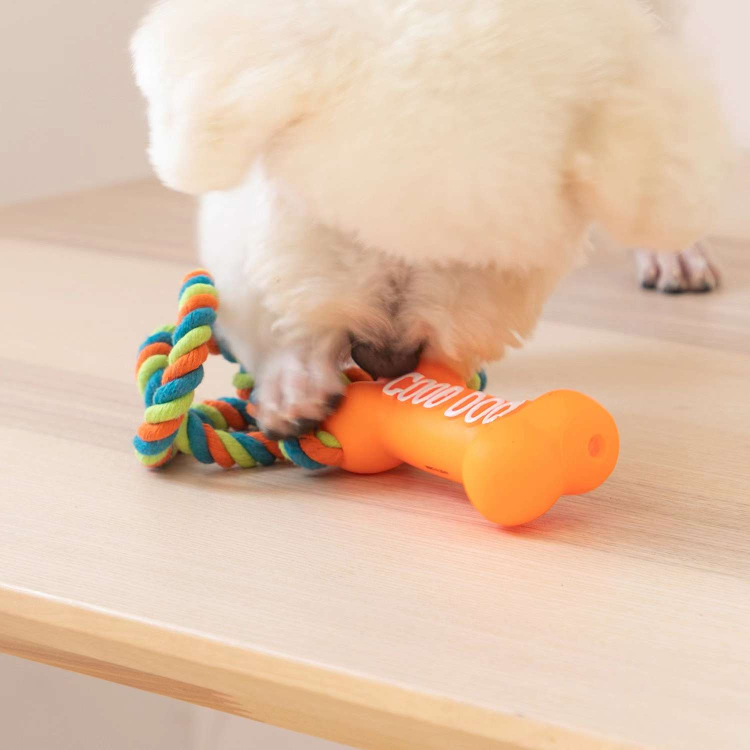 犬 おもちゃ ロープ | ごほうびボーン付き遊びロープ