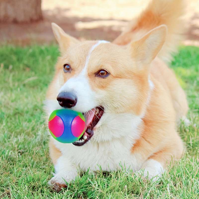 犬 おもちゃ ボール | 光る弾力ゴムボール