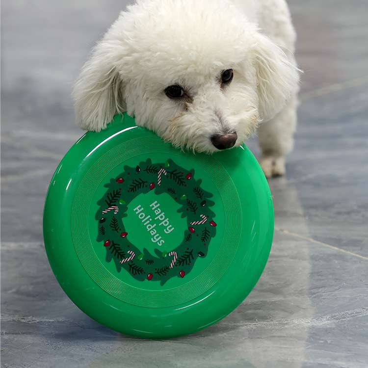犬 おもちゃ | クリスマスフリスビー付き冬のペット遊具