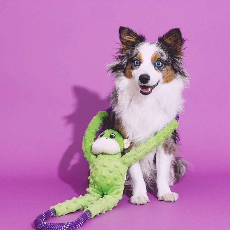 犬 おもちゃ ロープ | ワンちゃんのフリスビーロープ