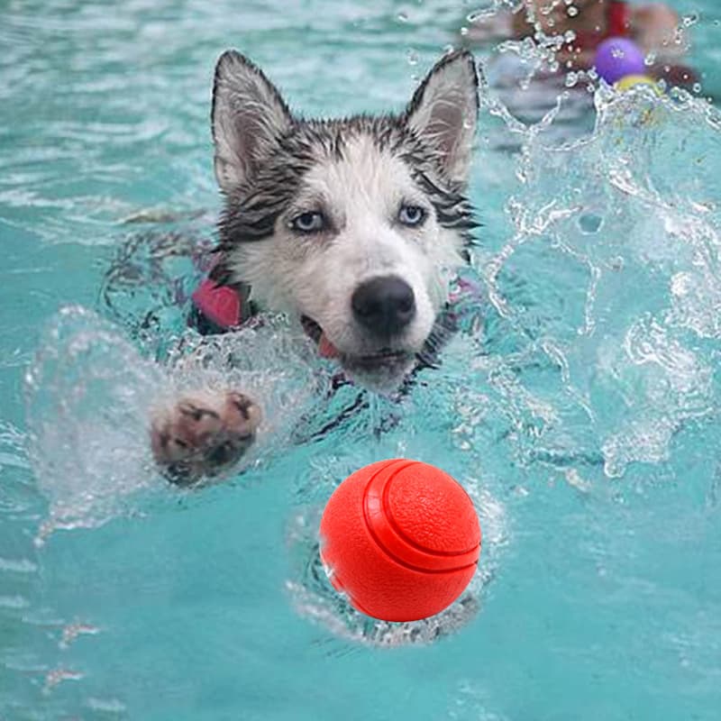 犬のおもちゃ 弾力紐付き耐久性ボール