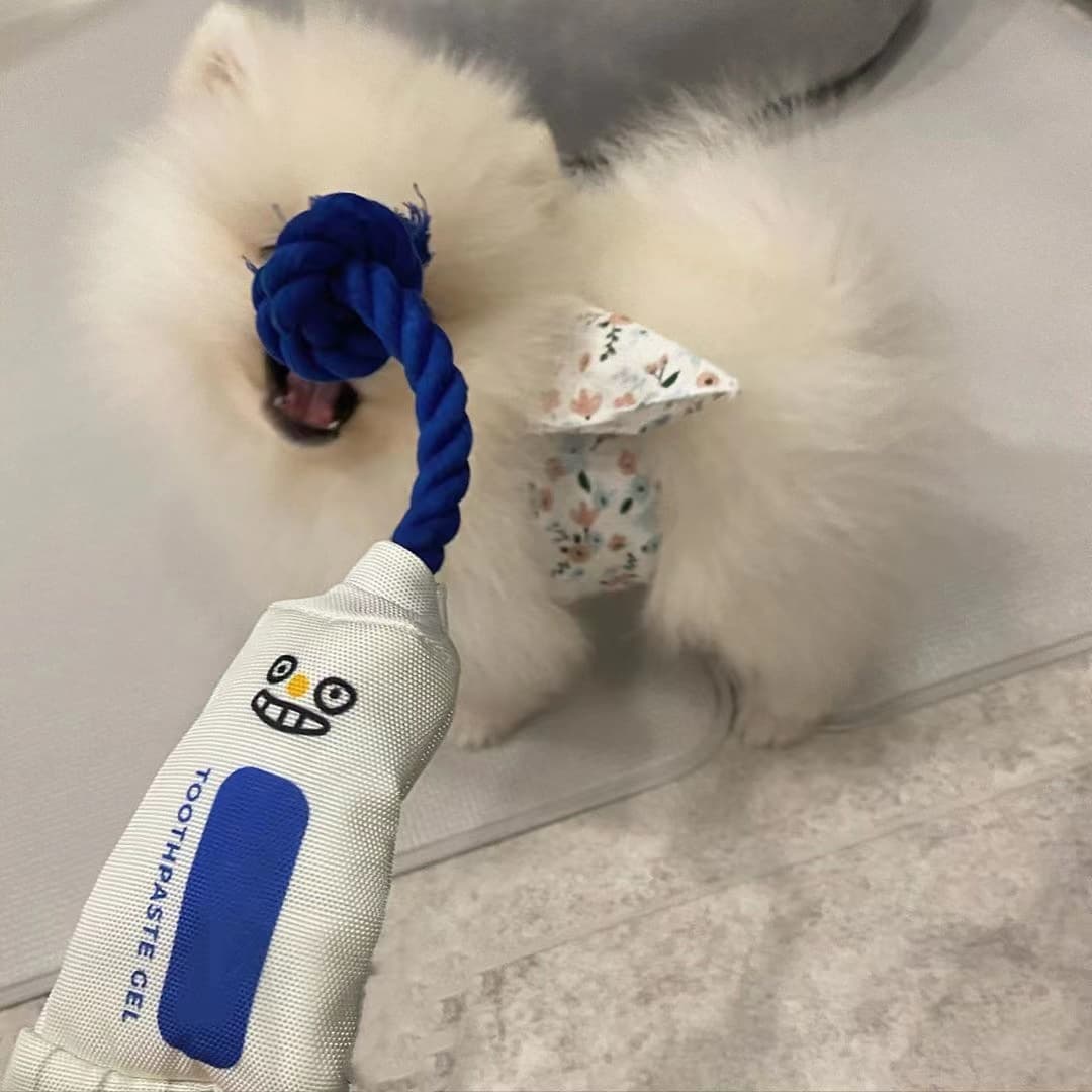 犬のおもちゃ にこにこ歯磨きロープトイ
