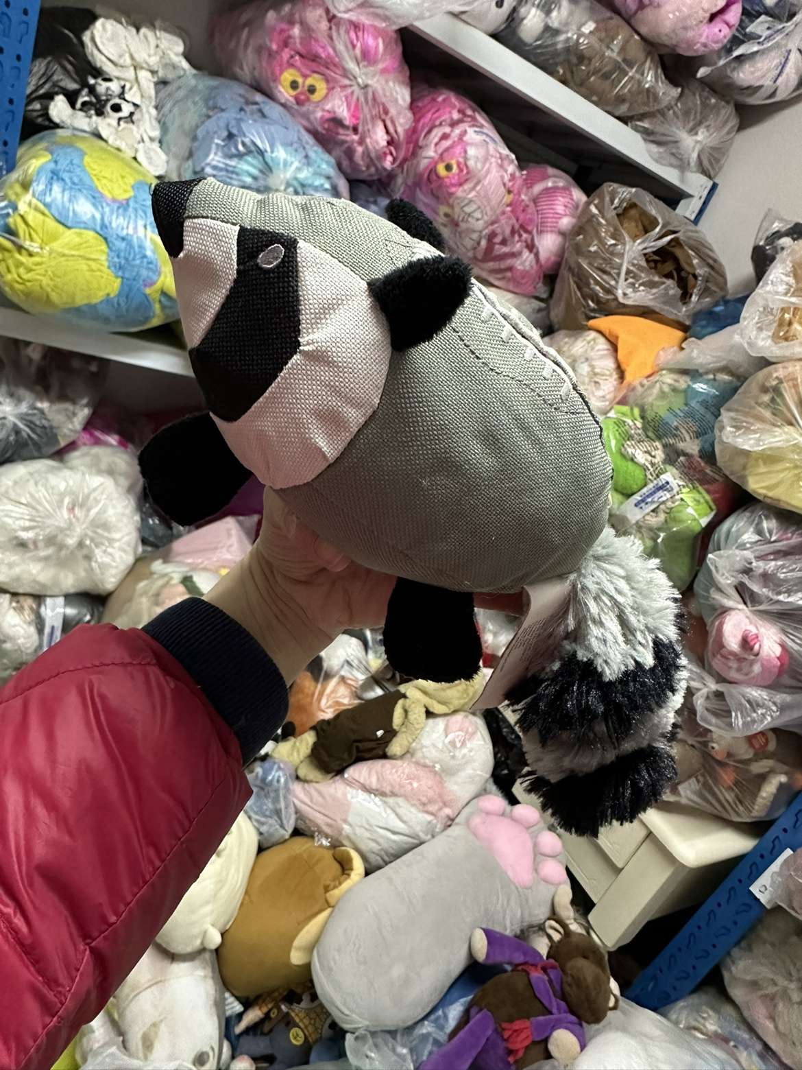 犬 おもちゃ ぬいぐるみ | もこもこ恐竜の赤ちゃんぬいぐるみ