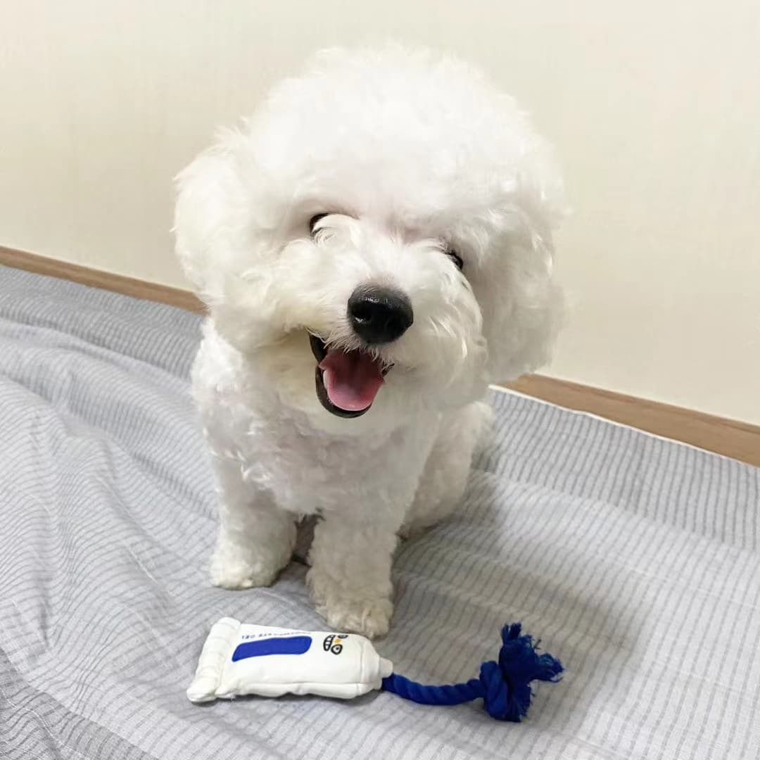 犬のおもちゃ にこにこ歯磨きロープトイ