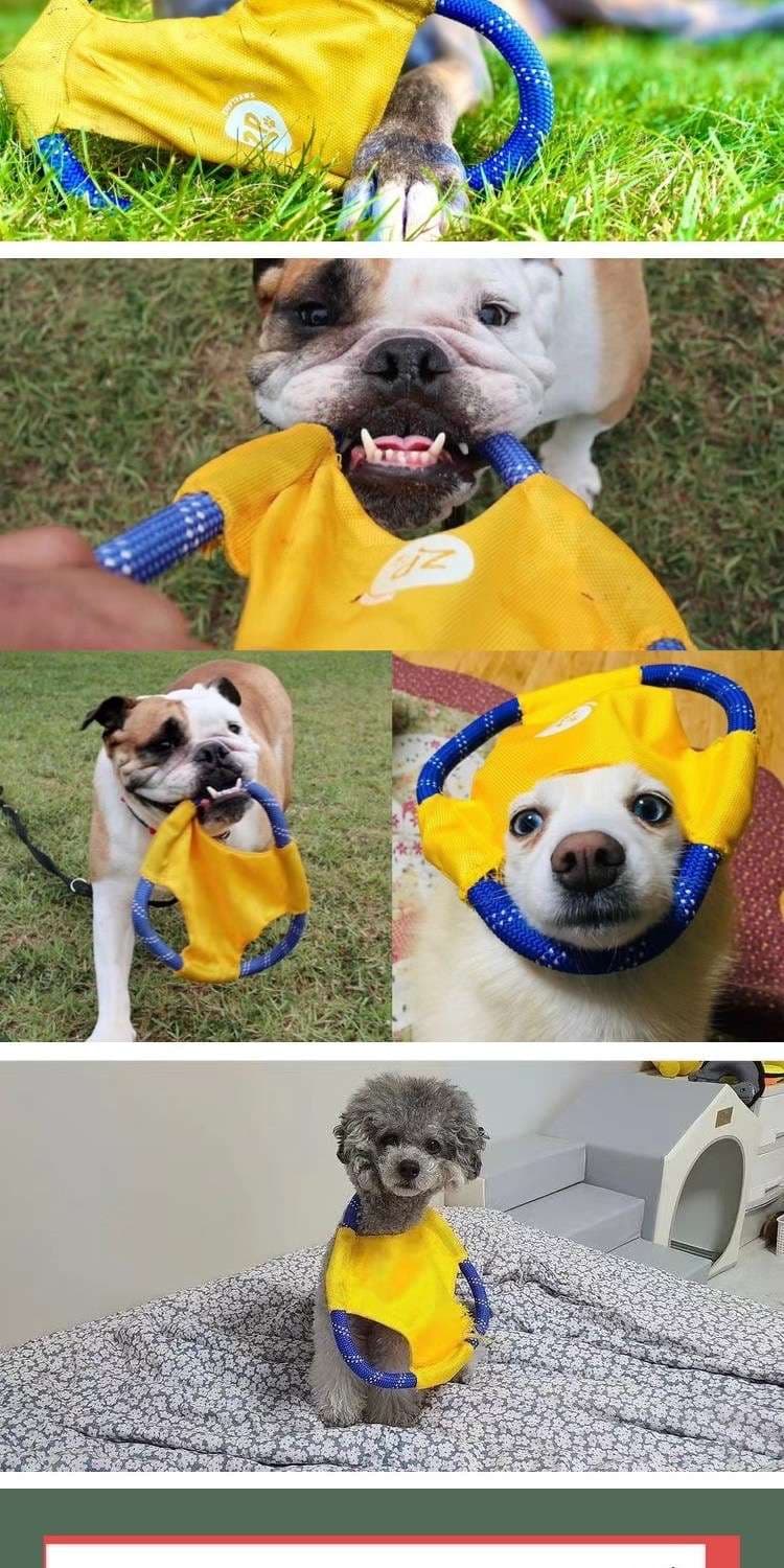 犬 おもちゃ ロープ | ワンちゃんのフリスビーロープ