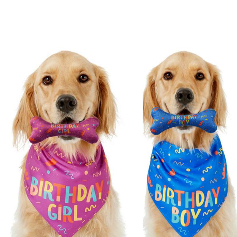 犬 おもちゃ 骨 | お誕生日わんちゃん用おもちゃの骨