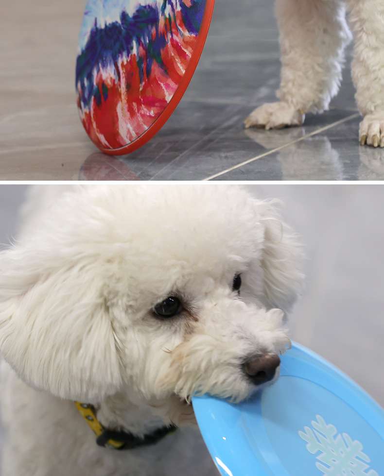 犬 おもちゃ | クリスマスフリスビー付き冬のペット遊具